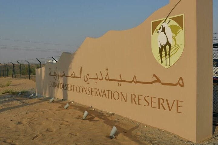 Experience the serenity of the Dubai Desert Conservation Reserve where the beauty of vast sand dunes meets opportunities for camel riding and unforgettable sandboarding adventures.